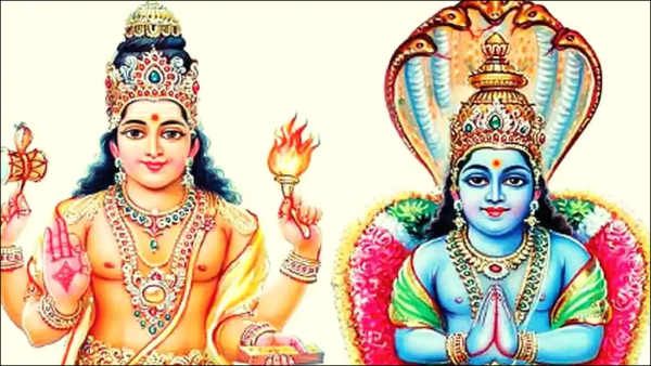 ராகு கேதுவால் ஜாதகத்தில் காலசர்ப்ப தோஷமா? கலங்க வேண்டாம்... ஈஸி பரிகாரம் இருக்கு