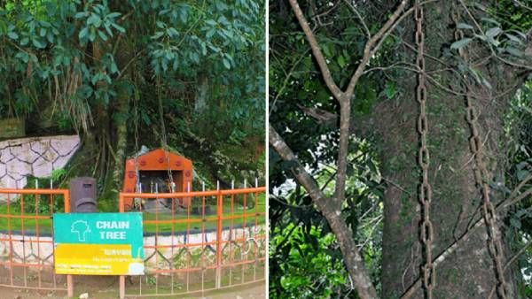 கடவுள் தேசத்தில் ஒரு மர்ம தேசம்.. வயநாட்டில் பயங்கரம்.. பேய் பயம் இருக்கிறவங்க! இதை படிக்காதீங்க!