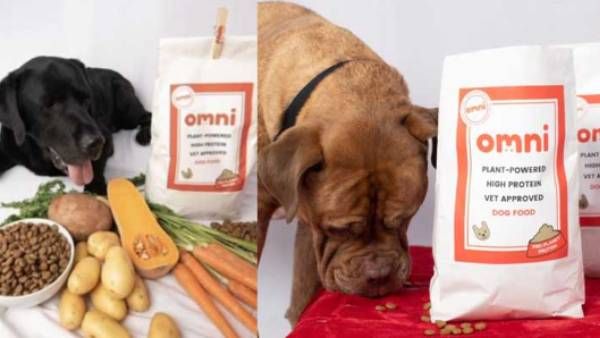 நாய் உணவை டேஸ்ட் பார்த்து சொன்னால் ரூ.5 லட்சம்.. சோறு போட்டு கை நிறைய சம்பளமும் கொடுக்கும் நிறுவனம்!