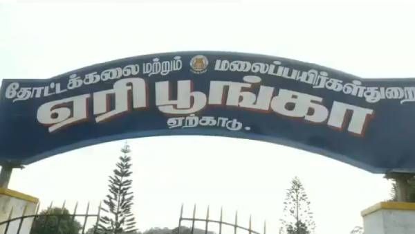 ஹாட் கிளைமேட்டில் ஒரு கூல் நியூஸ்... கொளுத்தும் கோடை வெயிலில் தப்பிக்க ஏற்காட்டில் ஐக்கியமான மக்கள்