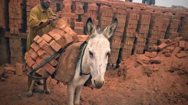 பாகிஸ்தான் பொருளாதாரத்தை தூக்கி சுமக்கும் 