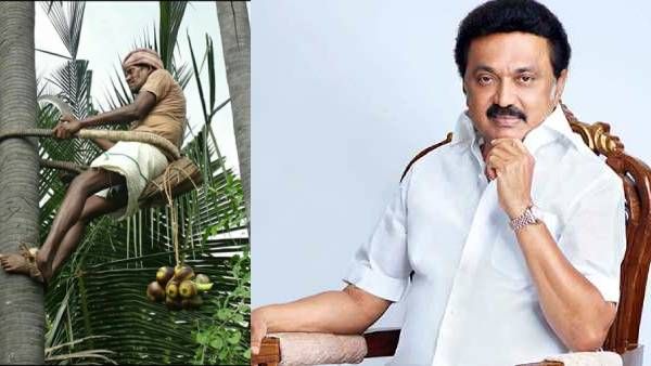 தமிழ்நாடு பனைமரத் தொழிலாளர்கள் நல வாரியம் மீண்டும் அமைப்பு! தலைவர் யார் தெரியுமா?