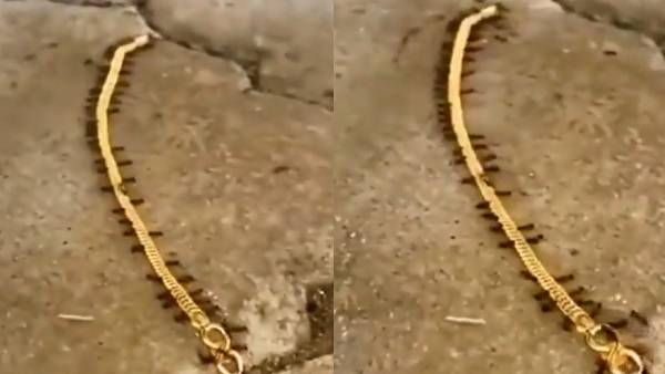 ஆஹா.. இப்படியும் நடக்குமா.. தங்க செயினை 