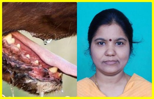 உயிரை காப்பாற்ற.. புறா எச்சத்தை கூட விடுங்க, வெறிநாயின் எச்சிலை கவனிங்க! டாக்டர் சாந்தி வார்னிங்