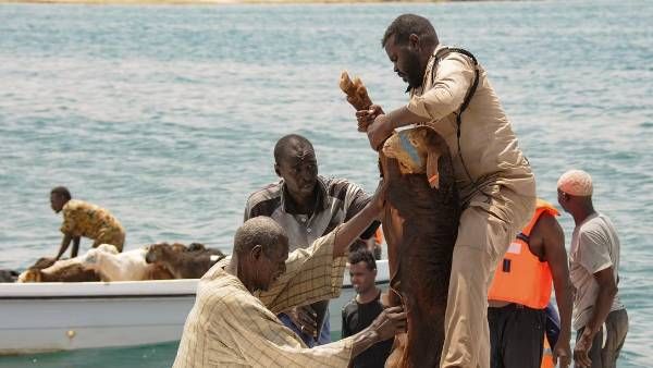 கடலில் மிதந்து வந்த.. 15 ஆயிரம் ஆடுகள்.. அதிர்ந்து போன மக்கள்.. உலகை உலுக்கிய கொடூர சம்பவம்