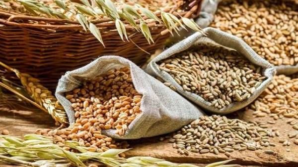 இந்திய கோதுமை ஏற்றுமதிக்கு 4 மாதம் தடை விதித்த ஐக்கிய அரபு அமீரகம்!