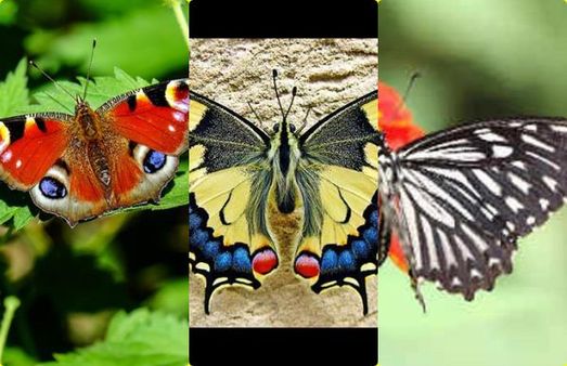 தமிழ்நாட்டில் இப்படி நடந்ததே இல்லை! 