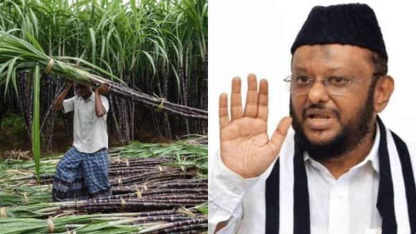 கரும்பு பயிரை தாக்கிய மஞ்சள் நோய்! ஏக்கர் ஒன்றுக்கு ரூ.30,000 இழப்பீடு தருக! ஜவாஹிருல்லா வேண்டுகோள்!