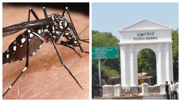 டெங்குவா? கொரோனாவா? குழம்பும் கோவை.. சிக்கன்குனியாவை தடுக்க புதுச்சேரி அரசின் சூப்பர் திட்டம்..!