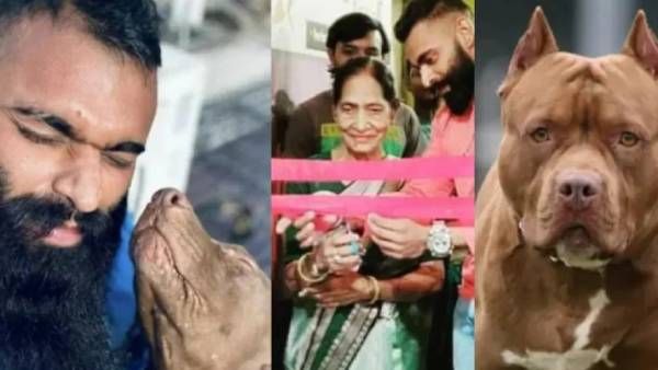 82 வயது பாட்டி.. 12 இடங்களில் கடித்தே கொன்ற செல்ல நாய்.. 