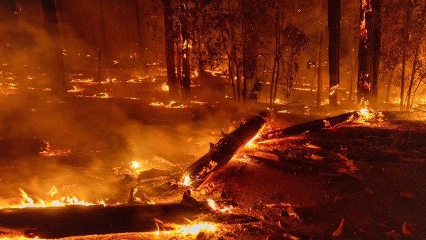 கலிபோர்னியாவை மீண்டும் மிரட்டும் காட்டுத்தீ.. 14,000 ஏக்கர் பாதிப்பு.. 6,000 பேர் வெளியேற்றம்