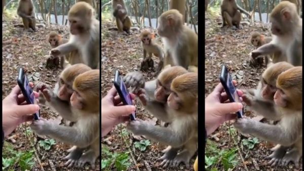 போனை வாங்கியதும்.. நேராக 