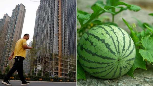 வீடு வாங்க பணம் எல்லாம் வேண்டாம்.. தர்ப்பூசணி பழம் கொடுங்க போதும்.. சீன நிறுவனங்கள் அறிவிப்பு!