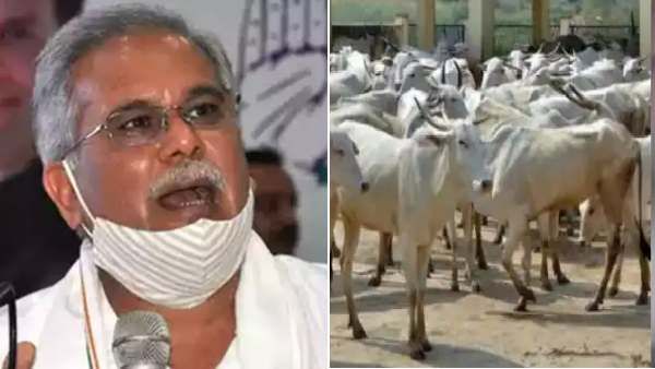 கோடு போட்ட பாஜக.. ரோடு போடும் காங்கிரஸ்! விவசாயிகள் ஹேப்பி அண்ணாச்சி