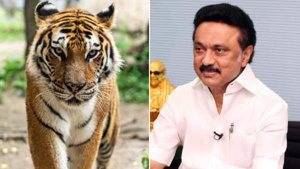 சர்வதேச புலிகள் தினம்..தமிழகம் முன்னோடி..சென்னையில் புலிகள் உச்சி மாநாடு.. முதல்வர் அறிவிப்பு