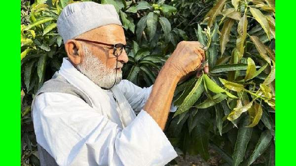 யார் இந்த கலீம் முல்லா கான்.. ஒரே மரத்தில் சச்சின், ஐஸ்வர்யா.. 300 வெரைட்டி.. ஆச்சரிய மாம்பழ மனிதர்