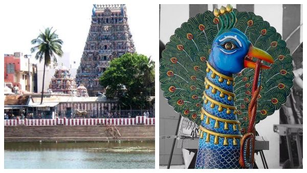 கபாலீஸ்வரர் கோவில் மயில்சிலை காணாமல் போன வழக்கு.. குற்றப்பத்திரிகை தாக்கல் செய்ய கோர்ட்டு உத்தரவு