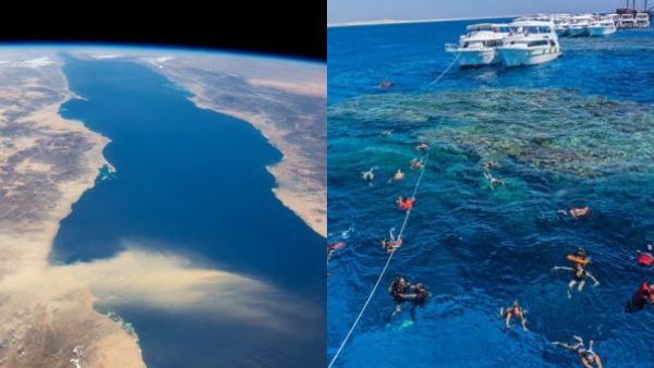 என்ன சொல்றீங்க.. கிட்ட சென்றால் அவ்வளவுதான? ஆபத்தான செங்கடல்.. அடியில் அப்படி என்னதான் இருக்கு?