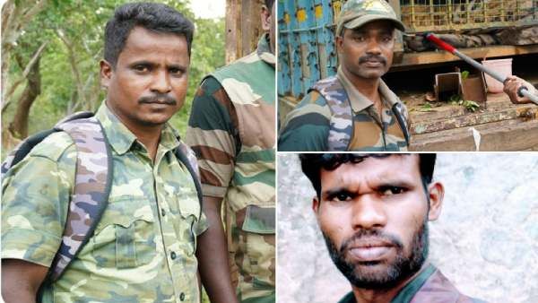முதுமலையில் டி23 புலியை உயிருடன் பிடிக்க உதவிய 3 தமிழக வனத்துறையினருக்கு சிறந்த களப்பணியாளர் விருது