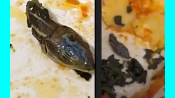 குழம்பில் 