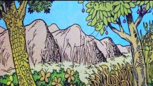 இந்த படத்தில் ஒளிந்திருக்கும் 6 விலங்குகளை 6 நொடிகளில் கண்டுபிடிங்க! என்ன சவாலுக்கு ரெடியா பாஸ்?