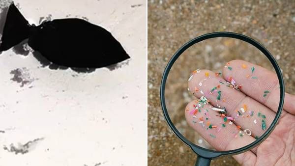 என்னல்லாம் பண்ணுது பாருங்க இந்த சீனா.. ஆய்வாளர்கள் கண்டுபிடித்த 