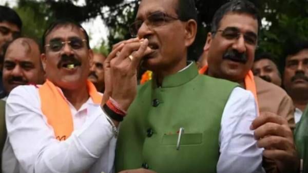 வரலாற்றில் முதல் முறை.. மத்திய பிரதேச உள்ளாட்சி தேர்தலில் பாஜக முஸ்லிம் வேட்பாளர்கள் அதிக வெற்றி!