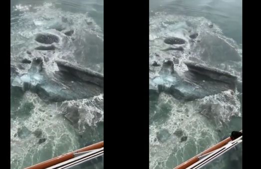 டைட்டானிக் மாதிரியே.. ஐஸ் மீது மோதிய ராட்சச கப்பல்.. பதறிய பயணிகள்.. அடுத்து நடந்த ட்விஸ்ட் -வீடியோ