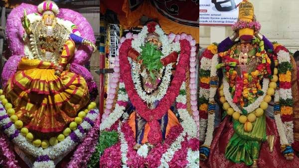 ஆடித்தபசு விழா கோலாகலம்.. கோமதி அம்மனுக்கு காட்சி அளித்த சங்கரநாரயணர்..பல்லாயிரக்கணக்கானோர் தரிசனம்