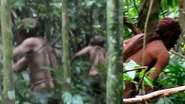 மனித வாடையே இல்லை! 26 வருடம் அமேசானில் தனியாக வாழ்ந்த 