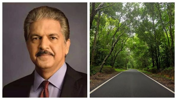 ஆஹா என்ன ரம்மியமான சாலை.. இதுமாதிரி சாலை போடுங்கப்பா.. டிரெண்ட் ஆகும் ஆனந்த் மகிந்த்ராவின் வீடியோ!