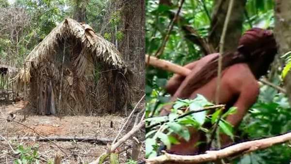 குழி மனிதன் மரணம்: 26 ஆண்டுகள் காட்டுக்குள் தனிமையில் வாழ்ந்த மர்ம நபர்
