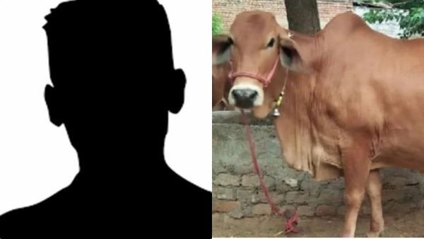 பசுவை பலாத்காரம் செய்த காம கொடூரன்.. மத்திய பிரதேசத்தில் அதிர்ச்சி