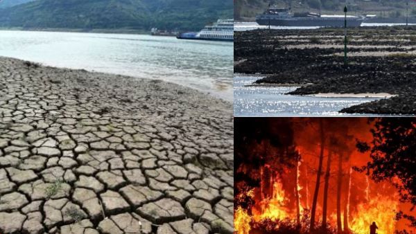 அடடா.. சீனாவிலும் இந்த நிலைமையா.. ''வறட்சி, காட்டுத்தீ, வறண்ட ஆறுகள்''.. வெப்ப அலையுடன் போராட்டம்