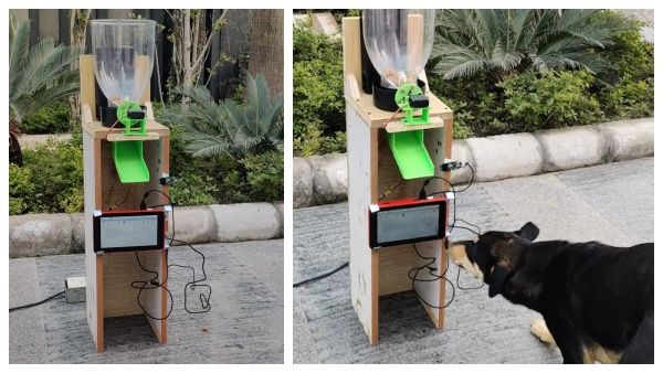 வாவ்.. தெருநாய்களுக்கு உணவளிக்க தானியங்கி கருவி.. 10-ம் வகுப்பு மாணவர்கள் உருவாக்கி அசத்தல்!