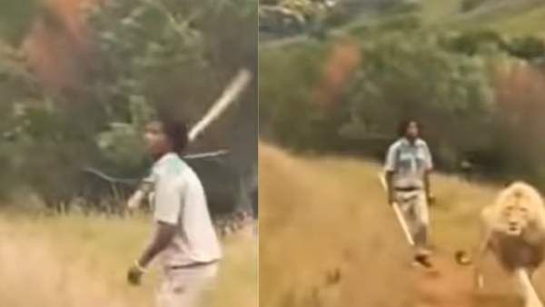 ''காண்டாமிருகத்தை சுரண்டி பார்த்த சிங்கம்'' அப்புறம் நடந்ததுதான் டுவிஸ்ட் . . தீயாக பரவும் வீடியோ!