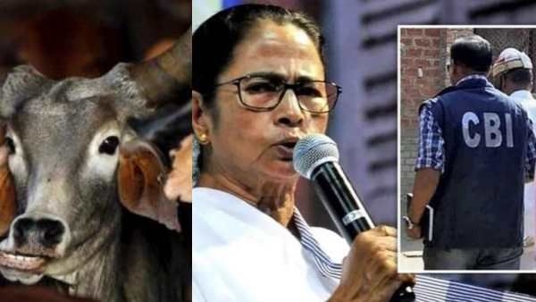 கால்நடை கடத்தல் வழக்கு: மம்தாவுக்கு நெருக்கமானவரிடம் மீண்டும் சிபிஐ விசாரிக்க முடிவு.. பாஜக திட்டமா?