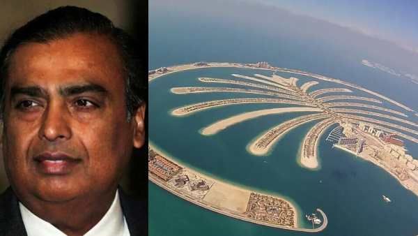 உற்று பாருங்க.. இதுதான் முகேஷ் அம்பானி துபாய் வீடு.. பனை மர செயற்கை தீவில் மகன் ஆனந்த்துக்கு மாளிகை