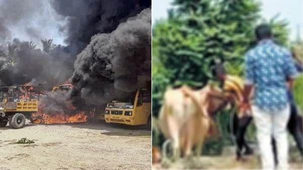 கள்ளக்குறிச்சி கலவரத்தில் மாடா திருடுறீங்க மாடு.. 4 பேர் மீது பாய்ந்தது குண்டாஸ்.. கலெக்டர் அதிரடி!