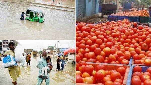 பாகிஸ்தானில் கனமழை: 1 கிலோ தக்காளி ரூ500.. உணவுபொருள் தட்டுப்பாட்டால் இந்தியாவில் இருந்து இறக்குமதி?