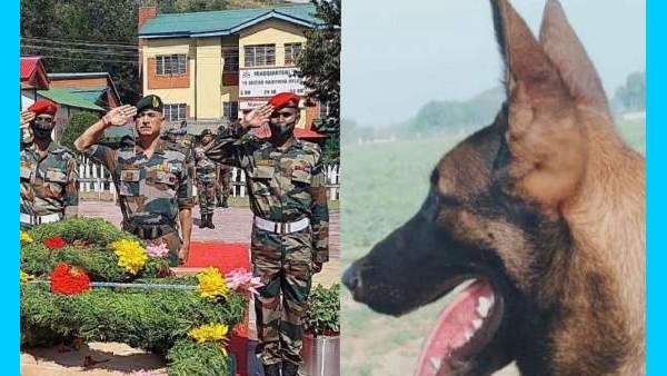 மோப்பம் பிடித்த.. 