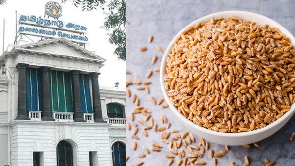 நெல் சாகுபடி உற்பத்தியில் தமிழகம் புதிய சாதனை! 20 ஆண்டுகளில் இல்லாத ஒரு மாற்றம்!