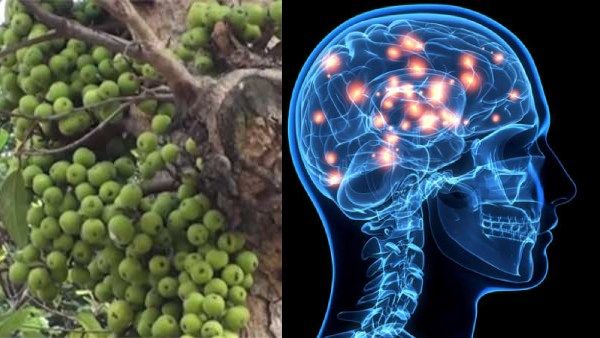 பிள்ளைகளின் புத்திசாலித்தனமும் திறமையும் அதிகரிக்க..இந்த விசயத்தை செய்யுங்கள்.. வெற்றி தேடி வரும்