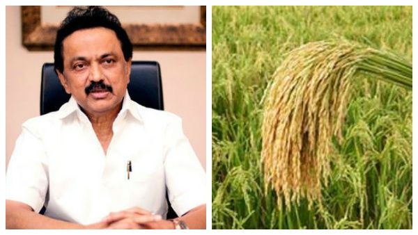 '1.22 கோடி மெட்ரிக் டன் நெல் சாகுபடி'! – ஒரே ஆண்டில் சாதித்த தி.மு.க அரசு