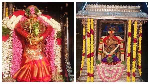 சங்கரன் கோவில் ஆடித்தபசு விழா கோலாகலம்..கோமதி அம்மனை தரிசனம் செய்தால் இத்தனை நன்மைகளா?