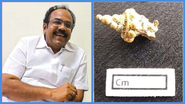 வெம்பக்கோட்டை அகழாய்வில் கிடைத்த ‘தங்க அணிகலன்’ - அமைச்சர் தங்கம் தென்னரசு வெளியிட்ட புகைப்படம்!