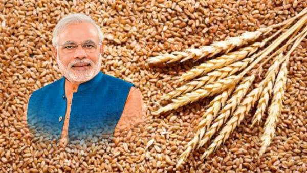 இந்தியாவில் கோதுமை தட்டுப்பாடா? இல்லவே இல்லை.. மத்திய உணவுத் துறை மறுப்பு.. பின்னணி என்ன?