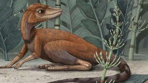 ஆஹா.. பாக்கெட் சைஸில் ஒரு 'ராட்சஷன்'.. டைனோசர் மூதாதையரின் எலும்புக் கூடு கண்டுபிடிப்பு! வாவ்