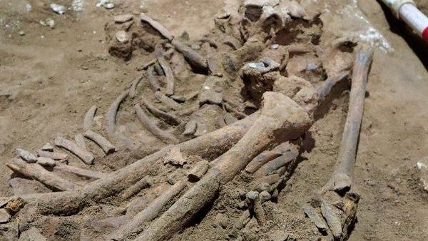 ஆதிமனிதன் வரலாறு: 31,000 ஆண்டுக்கு முன்பே உறுப்பு நீக்க அறுவைச் சிகிச்சை செய்த குகை மனிதன்