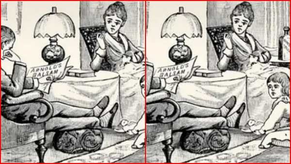 ஆப்டிகல் இல்யூசன்: இங்கே 2 பூனைகள் இருக்கு.. உங்க கண்ணுக்கு தெரியுதா.. கண்டுபிடிச்சா நீங்க மாஸ் தான்